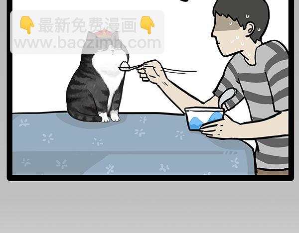 🍘吾皇巴扎黑 第70话 掉毛 第13页