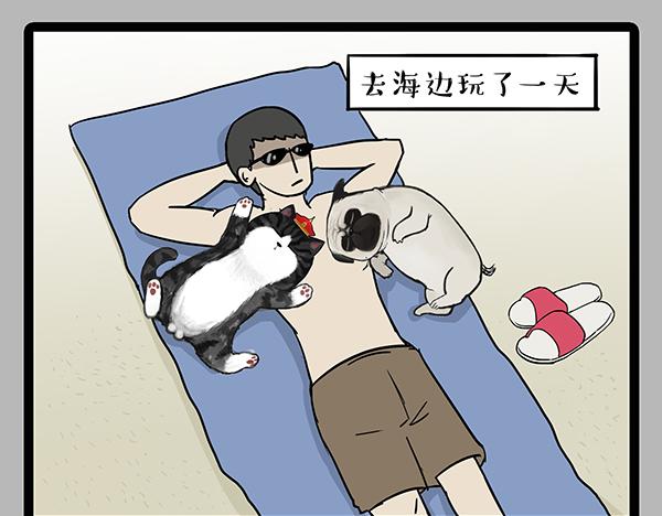 🍘吾皇巴扎黑 第70话 掉毛 第16页