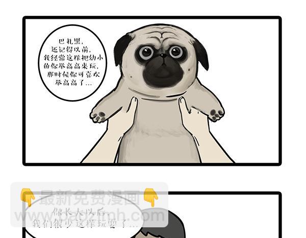 🍘吾皇巴扎黑 第72话 巴扎黑新用途 第15页