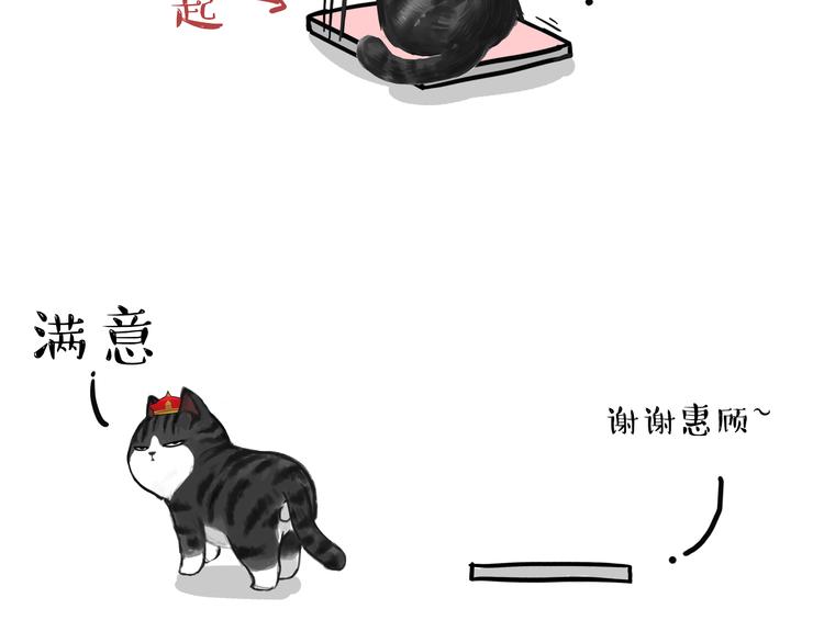 🍘吾皇巴扎黑 第74话 猫主子送的也敢扔 第12页