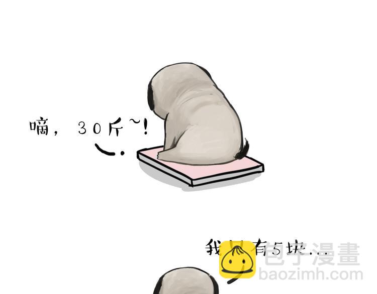 🍘吾皇巴扎黑 第74话 猫主子送的也敢扔 第13页