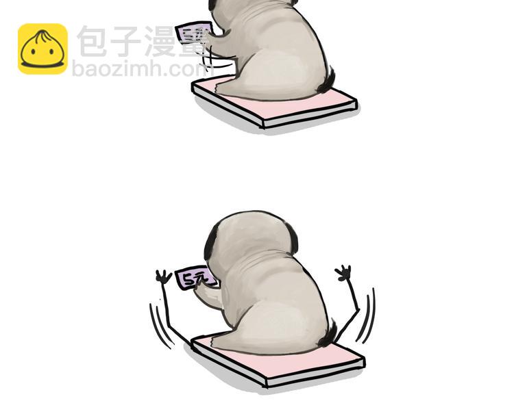 🍘吾皇巴扎黑 第74话 猫主子送的也敢扔 第14页