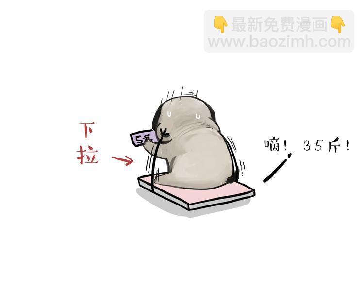 🍘吾皇巴扎黑 第74话 猫主子送的也敢扔 第15页