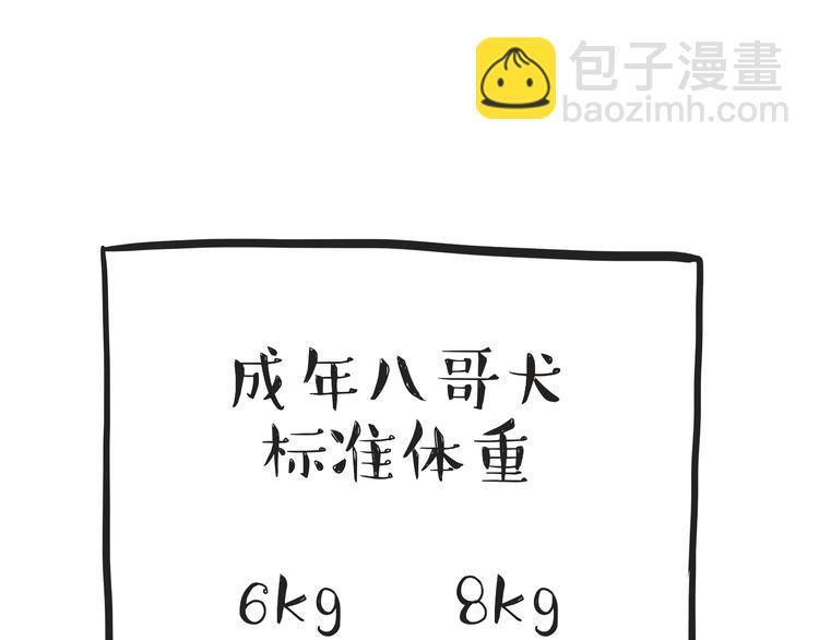 🍘吾皇巴扎黑 第74话 猫主子送的也敢扔 第18页