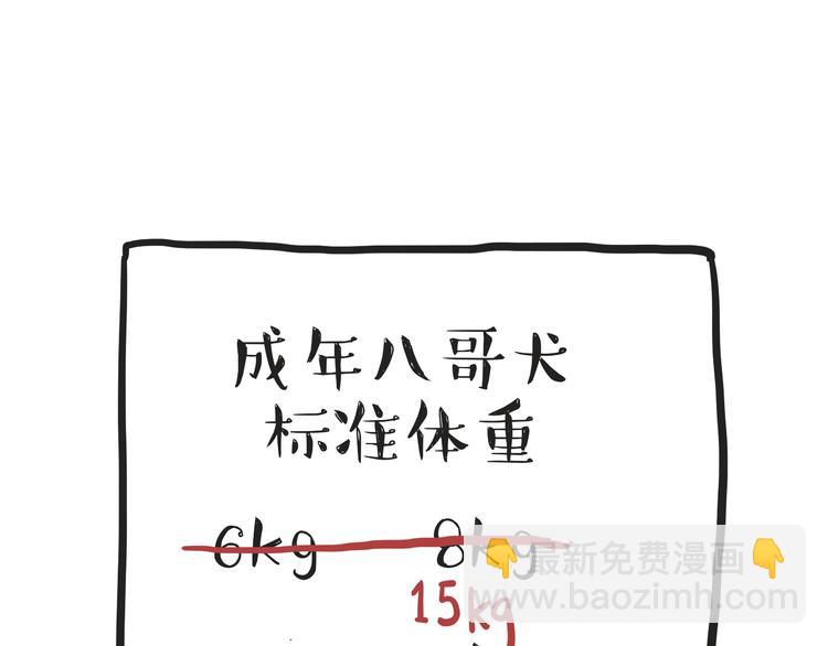 🍘吾皇巴扎黑 第74话 猫主子送的也敢扔 第22页