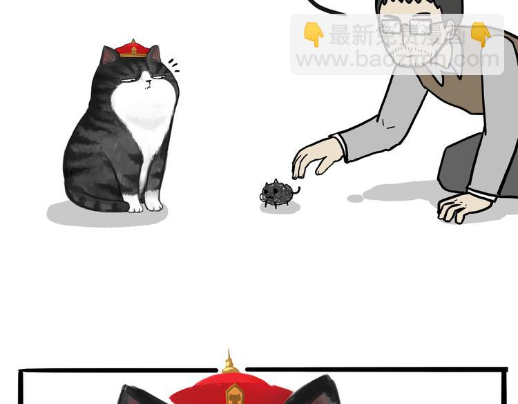 🍘吾皇巴扎黑 第74话 猫主子送的也敢扔 第5页