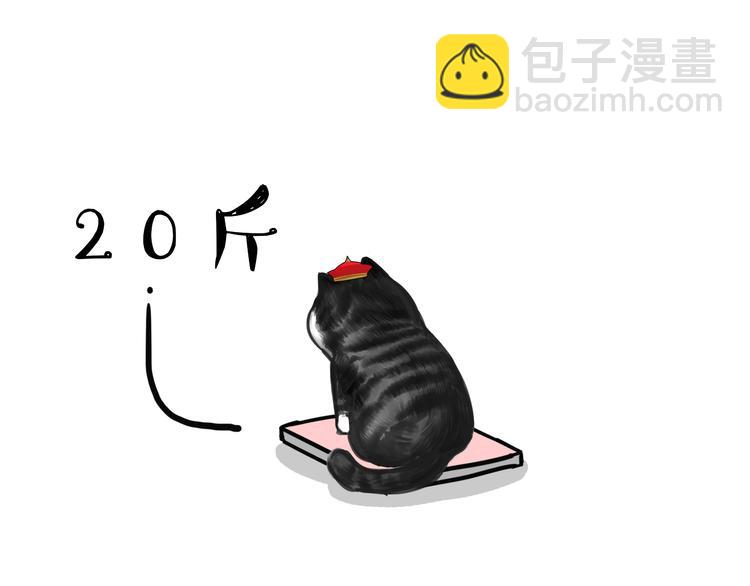 🍘吾皇巴扎黑 第74话 猫主子送的也敢扔 第9页