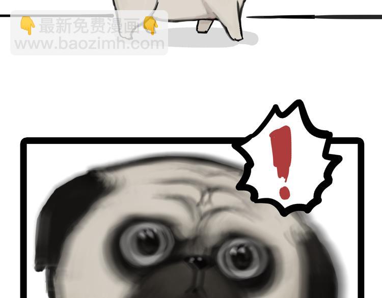 🍘吾皇巴扎黑 第76话 巴扎黑三顾屎粑粑 第2页