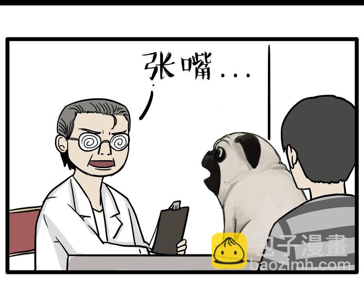 🍘吾皇巴扎黑 第78话 带宠物看病（上） 第10页