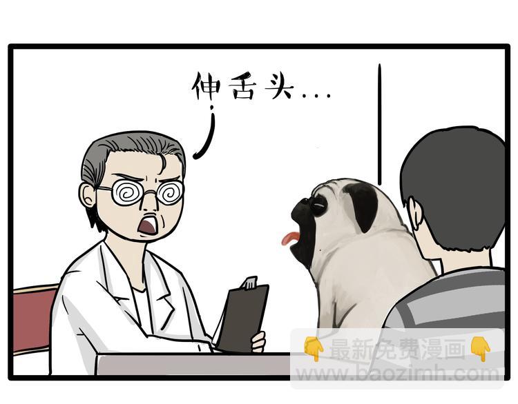 🍘吾皇巴扎黑 第78话 带宠物看病（上） 第11页