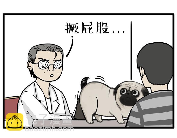 🍘吾皇巴扎黑 第78话 带宠物看病（上） 第12页