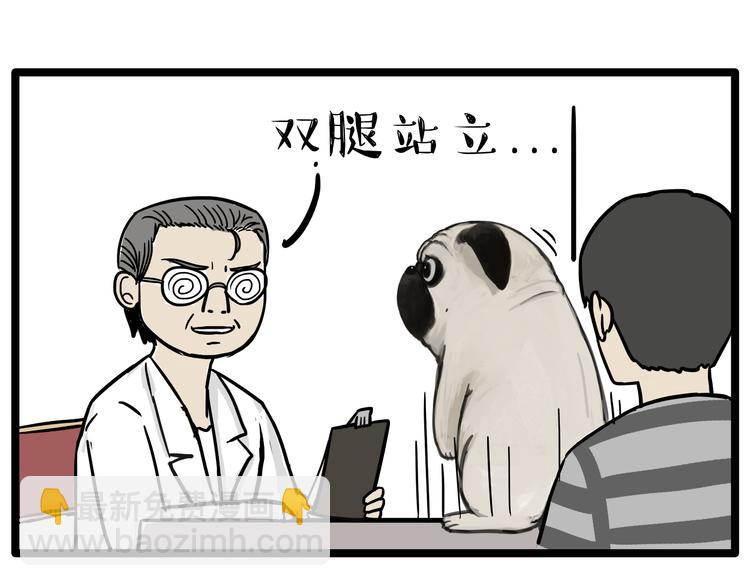 🍘吾皇巴扎黑 第78话 带宠物看病（上） 第13页