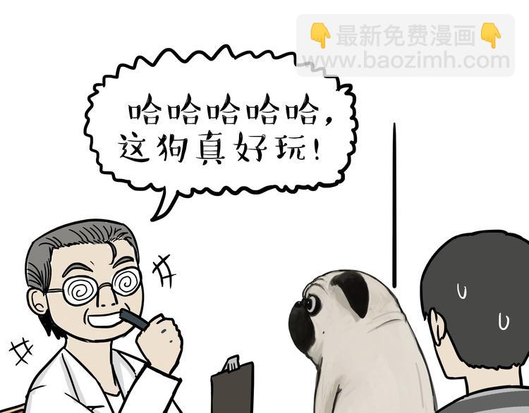 🍘吾皇巴扎黑 第78话 带宠物看病（上） 第14页