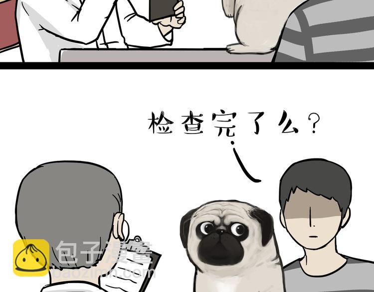 🍘吾皇巴扎黑 第78话 带宠物看病（上） 第15页