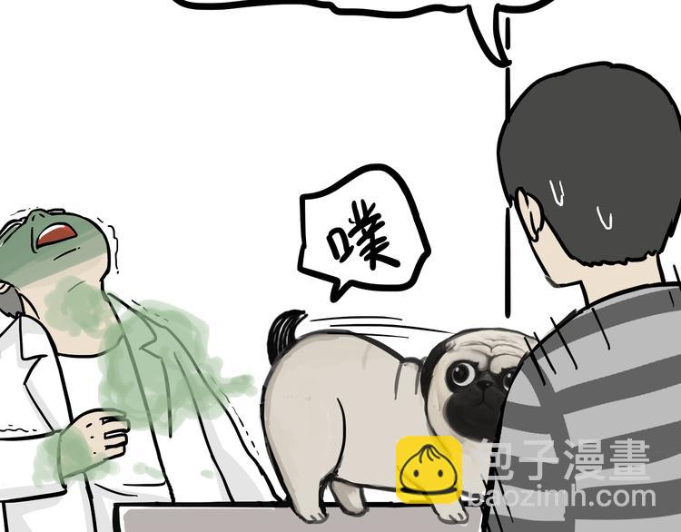🍘吾皇巴扎黑 第78话 带宠物看病（上） 第19页