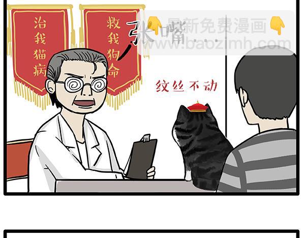 🍘吾皇巴扎黑 第78话 带宠物看病（上） 第2页