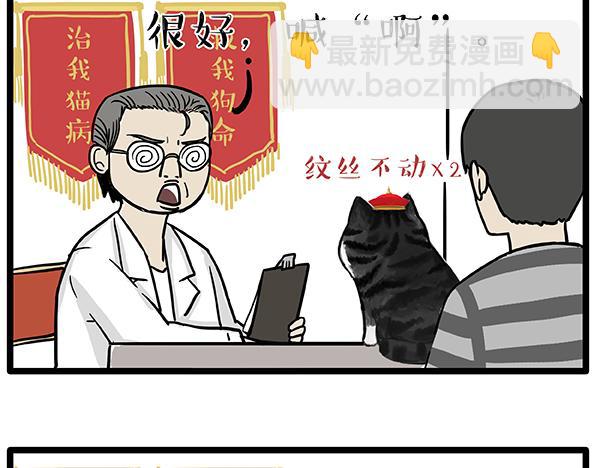 🍘吾皇巴扎黑 第78话 带宠物看病（上） 第3页