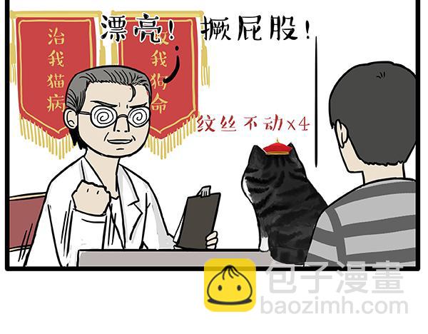 🍘吾皇巴扎黑 第78话 带宠物看病（上） 第5页