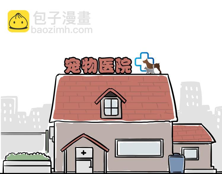 🍘吾皇巴扎黑 第78话 带宠物看病（上） 第9页