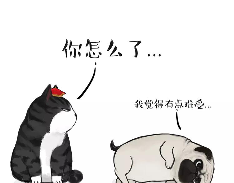 🍘吾皇巴扎黑 第88话 cos界的新星 第1页