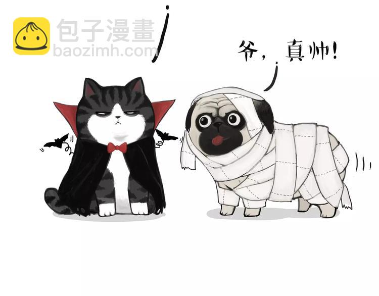 🍘吾皇巴扎黑 第88话 cos界的新星 第11页