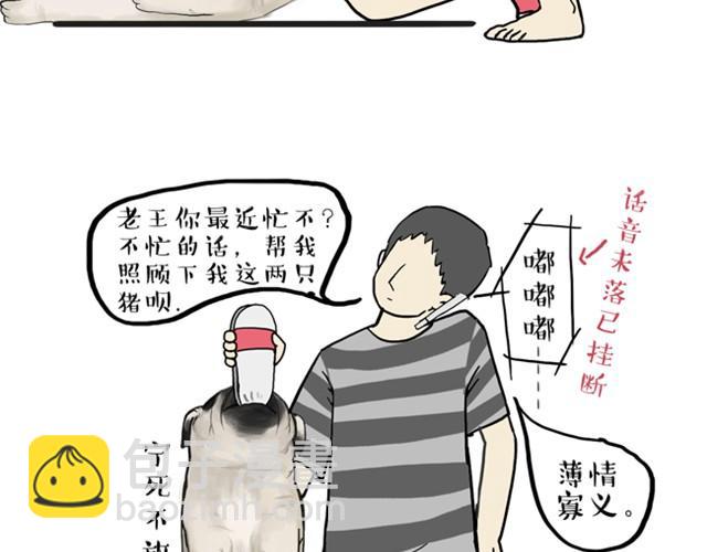 🍘吾皇巴扎黑 第10话 一碗饭 第15页