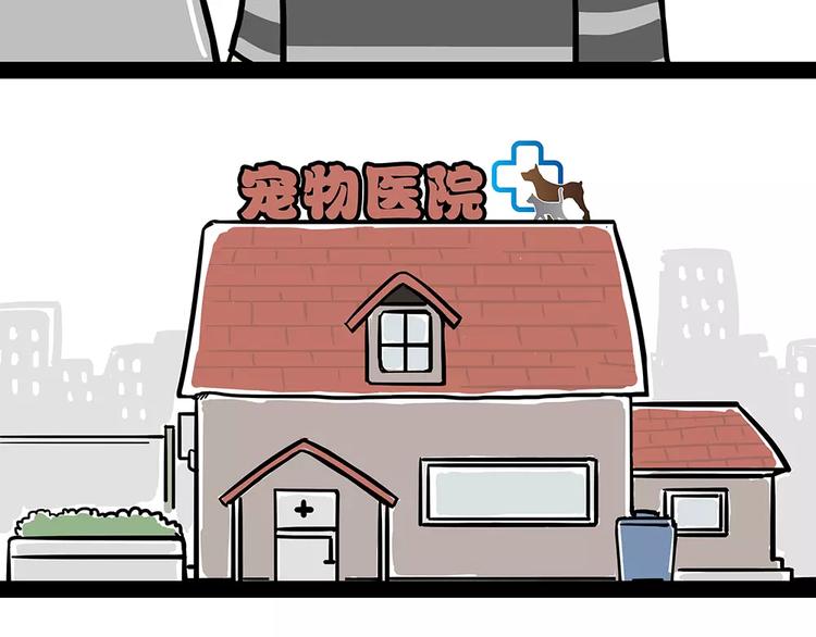 🍘吾皇巴扎黑 第94话 脱发 第17页