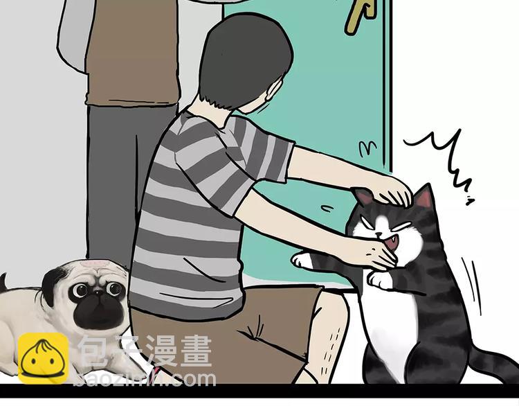 🍘吾皇巴扎黑 第94话 脱发 第46页