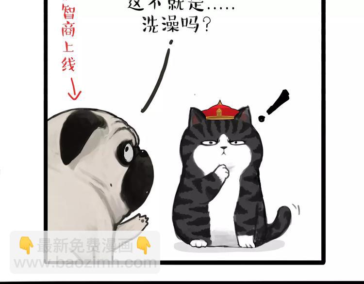 🍘吾皇巴扎黑 第98话 洗澡（上） 第13页
