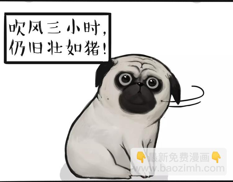 🍘吾皇巴扎黑 第100话 生病的烦恼 第16页