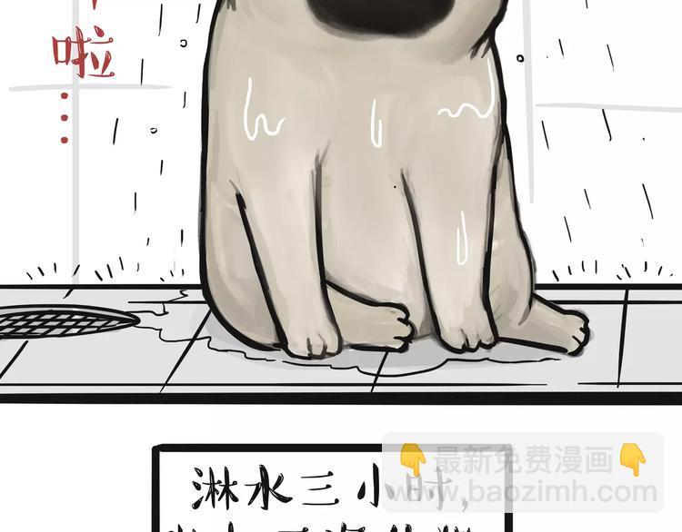 🍘吾皇巴扎黑 第100话 生病的烦恼 第18页