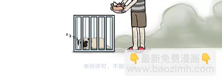 🍘吾皇巴扎黑 第100话 生病的烦恼 第42页