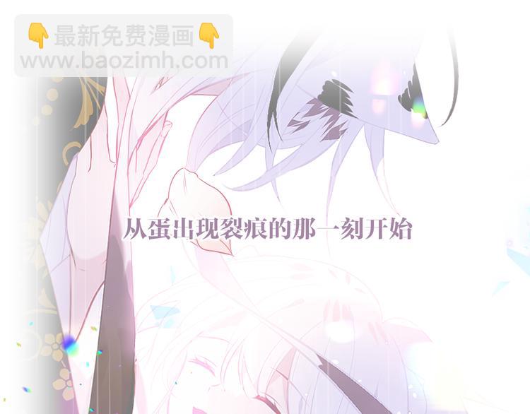 第164话 白与希(1/3)-第186话