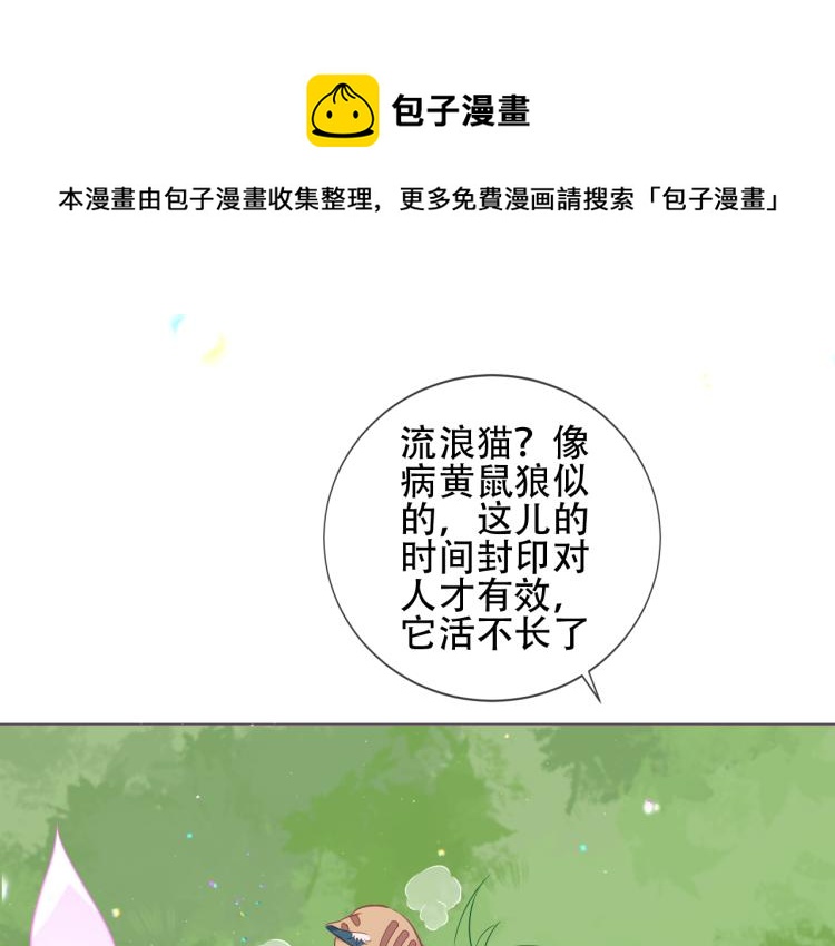 番外  无夜城的一只猫(1/2)-第196话