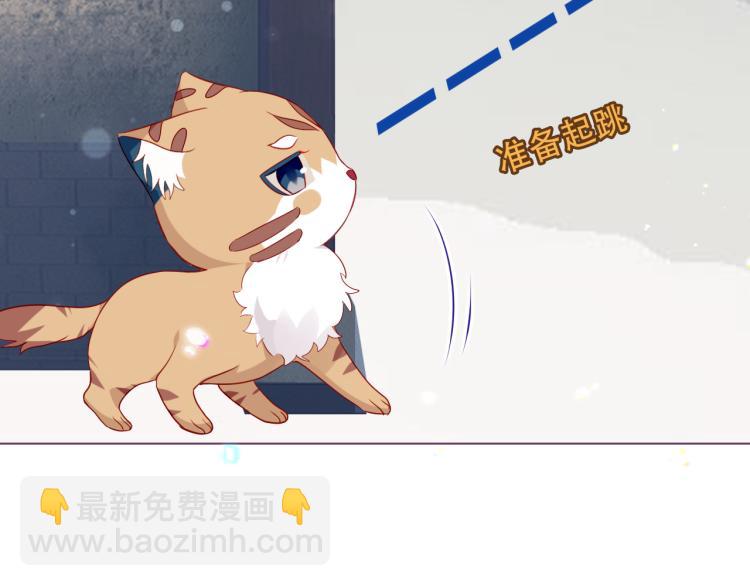 番外  无夜城的一只猫(1/2)-第196话