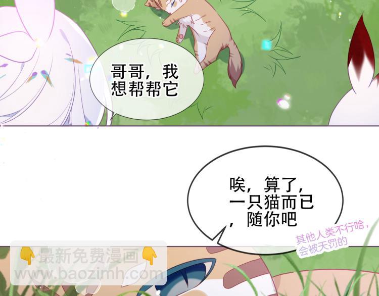 番外  无夜城的一只猫(1/2)-第196话