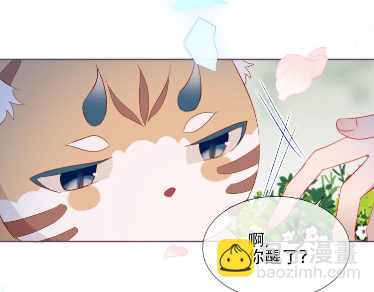 番外  无夜城的一只猫(1/2)-第196话