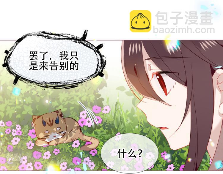 番外  无夜城的一只猫(1/2)-第196话