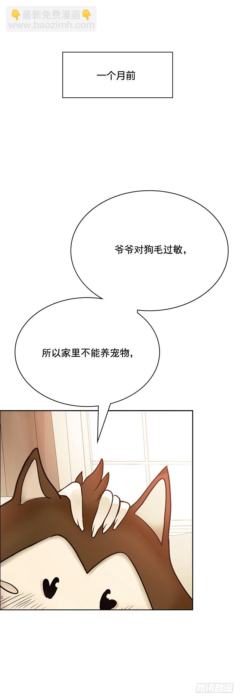 京狼在地上(1/2)-第12话