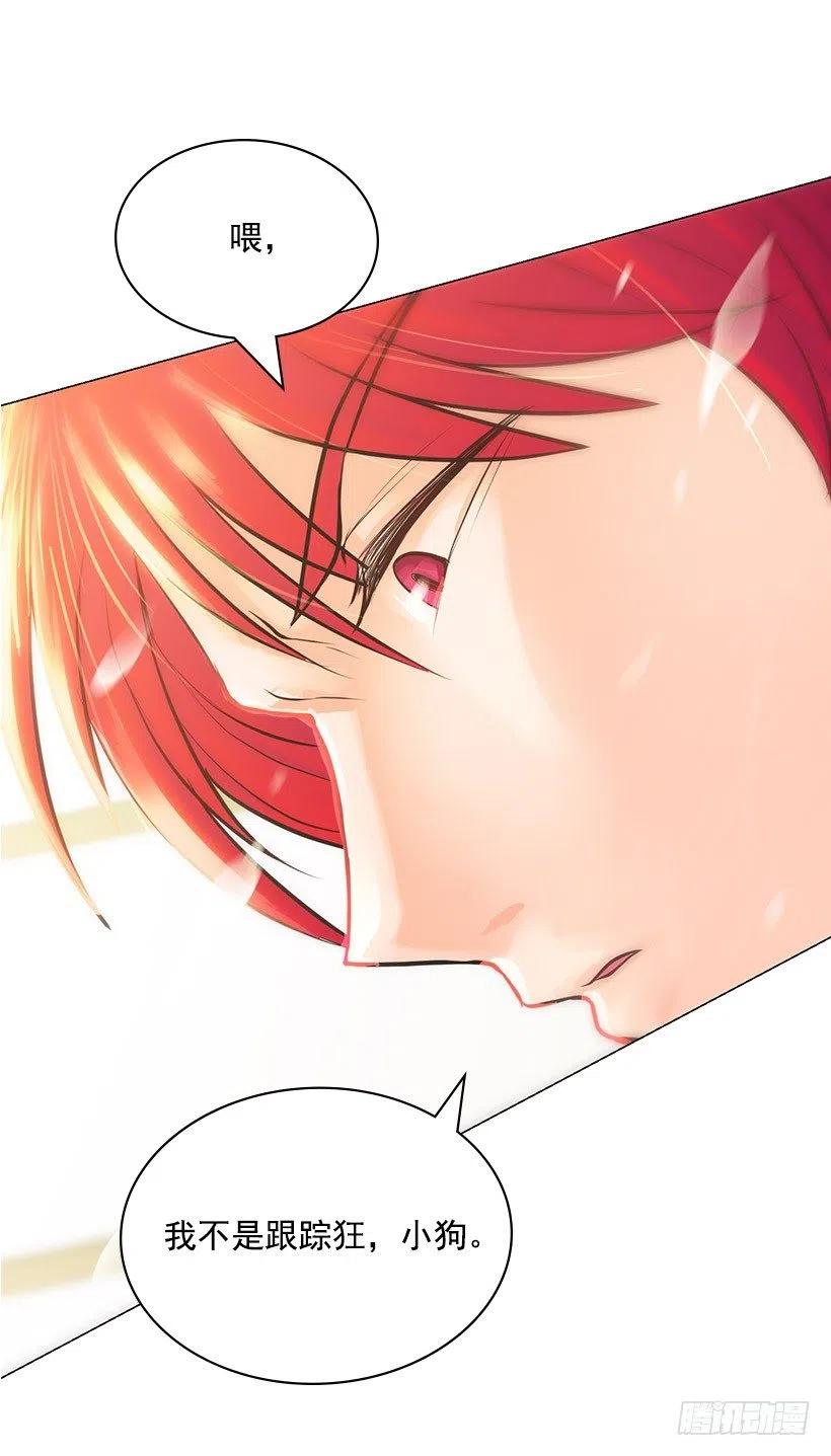 正当防卫(1/2)-第24话