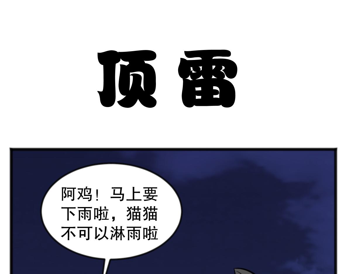 猫仔-第50话