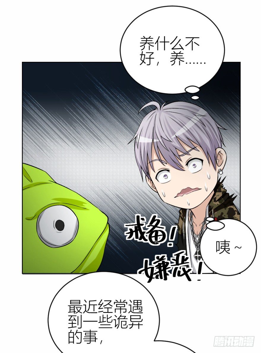 第三十八回 大师扬名娱乐圈？-第38话