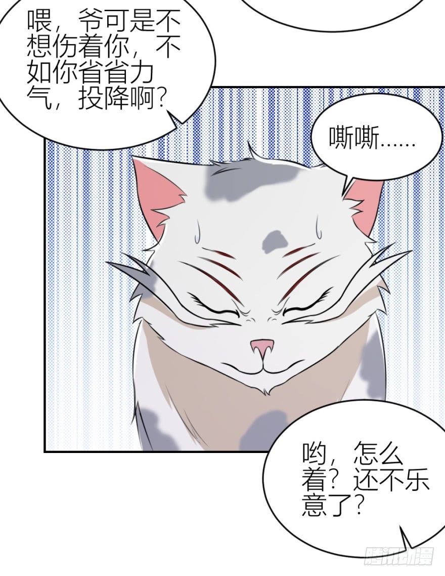 第八十四回 要低调啊-第84话
