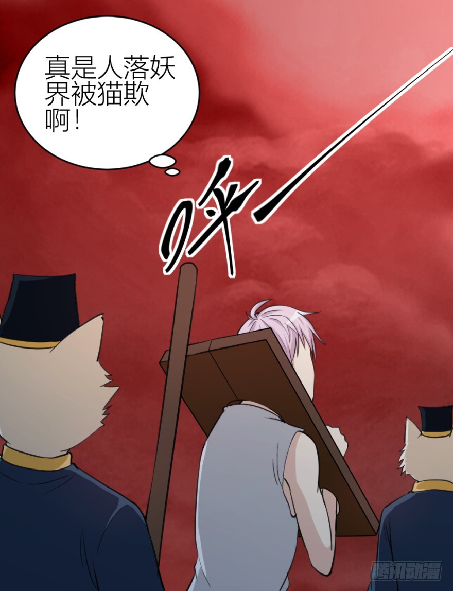第八十六回 猫之地狱？！-第86话