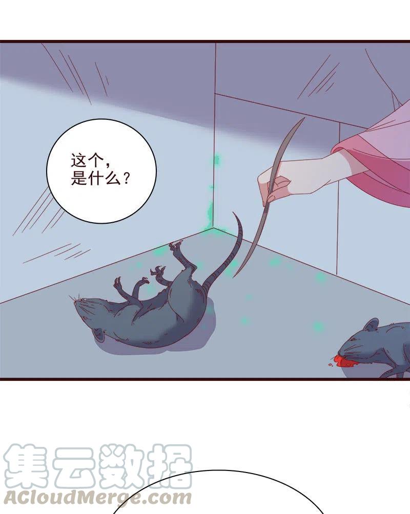 无赖王妃【066阴狠】-第68话
