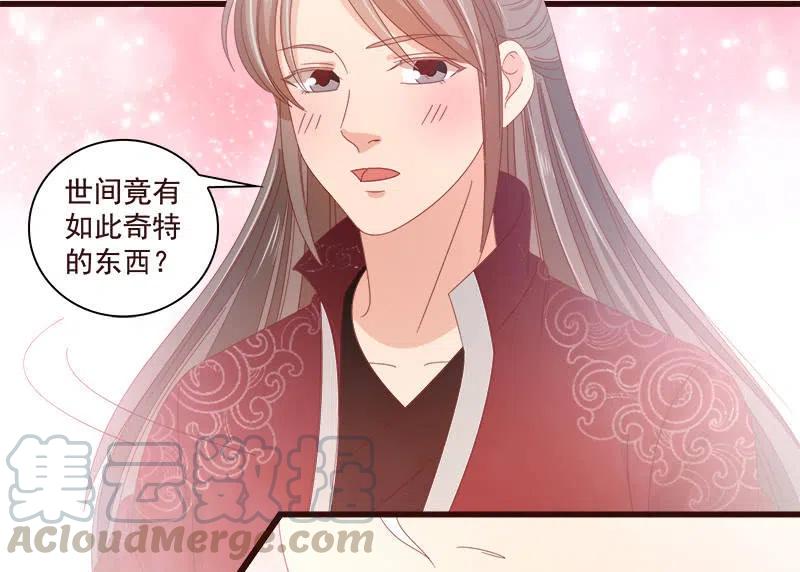 无赖王妃【074公主】(1/2)-第76话