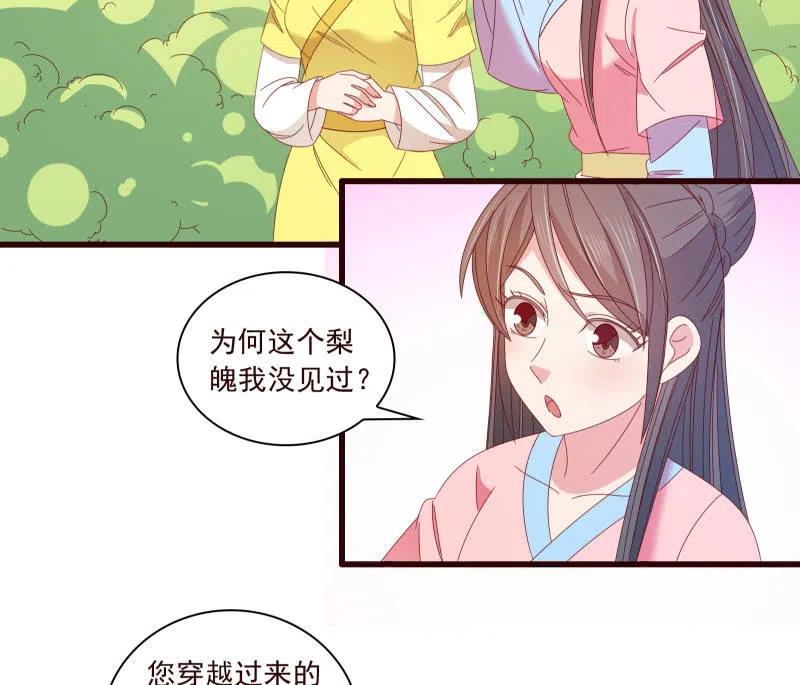 无赖王妃【096黑暗中的高手】-第98话
