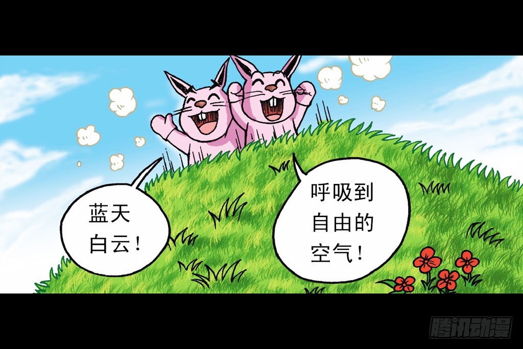 第12集 兔巢无间道(1/2)-第12话