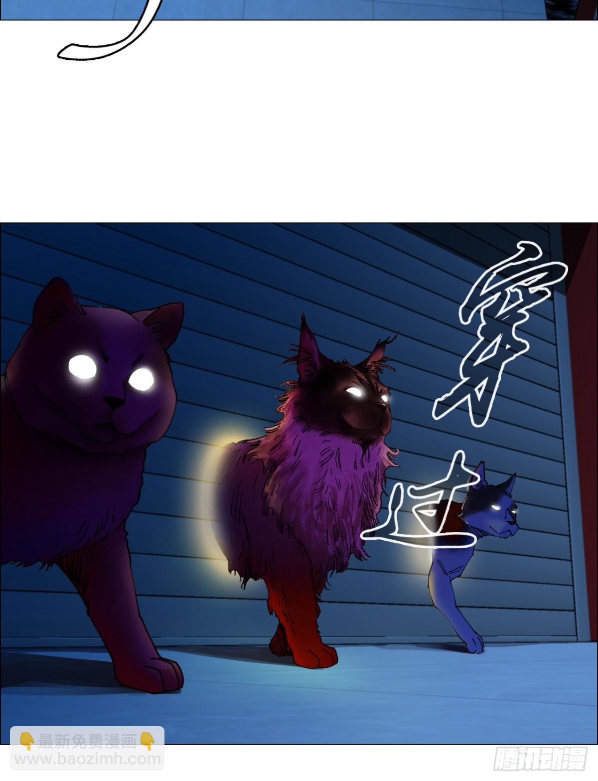 71 「黑」-第72话