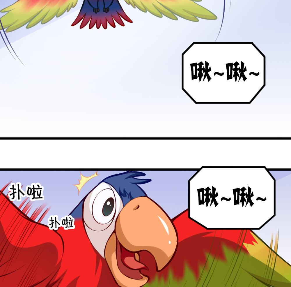 第052话 可爱的小鹦鹉-第54话